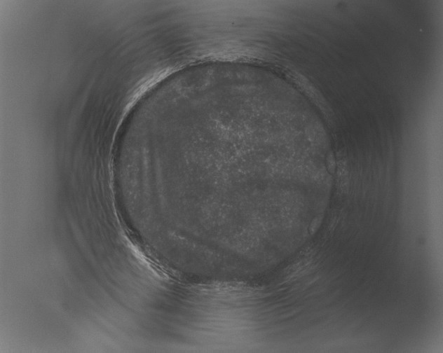 X0000076350626200610201801