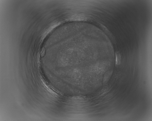 X0000076350627200610201801