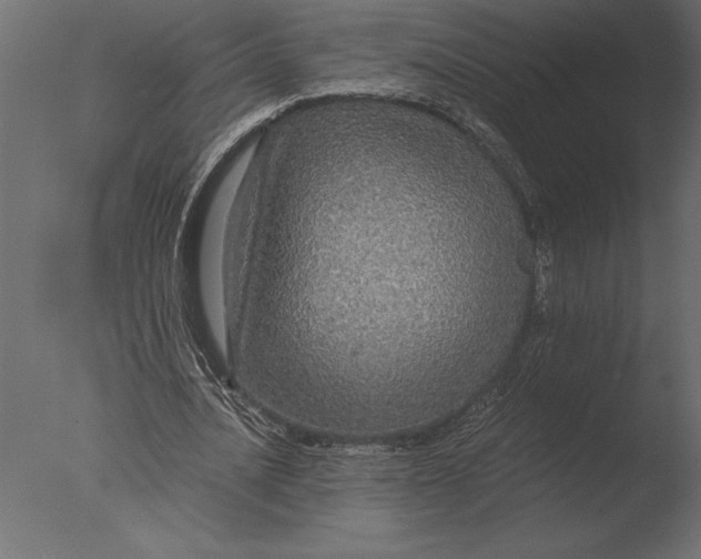 X0000076350628200610201801