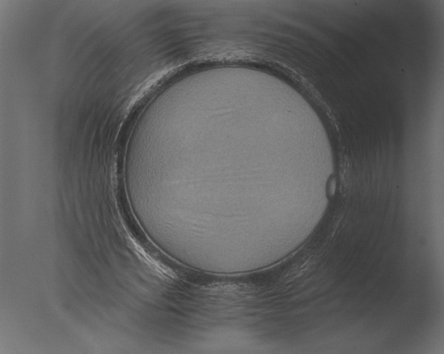 X0000076350629200610201801