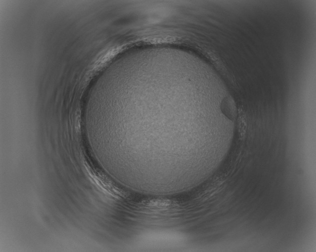 X0000076350631200610201801