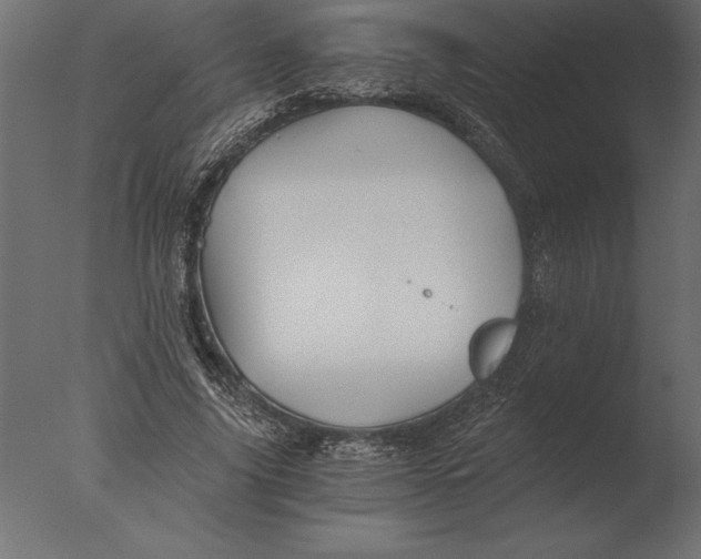 X0000076350635200610201801