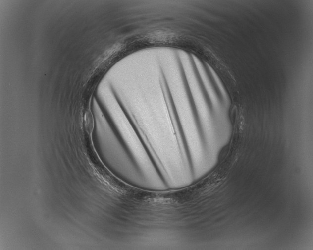 X0000076350637200610201801