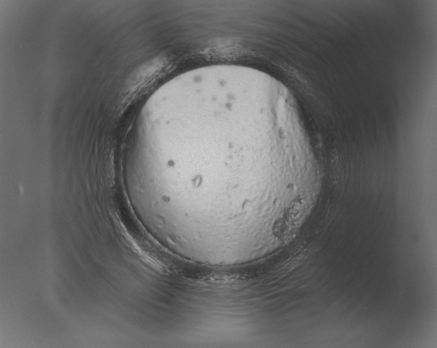 X0000076350638200610201801