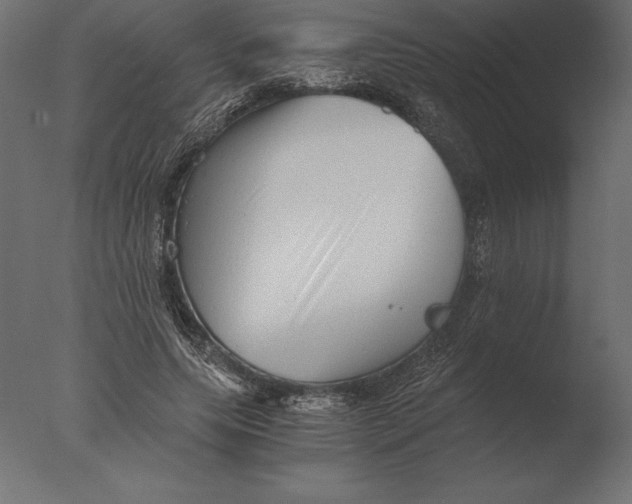 X0000076350639200610201801