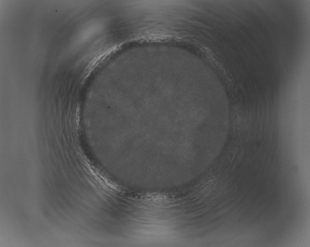 X0000076350640200610201801