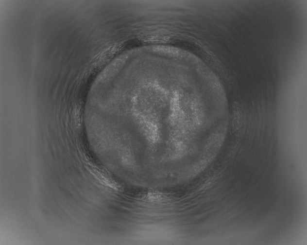 X0000076350641200610201801