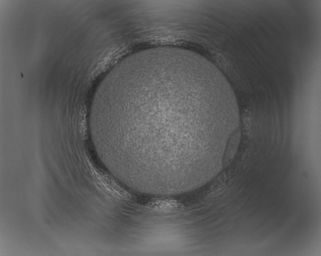 X0000076350642200610201801