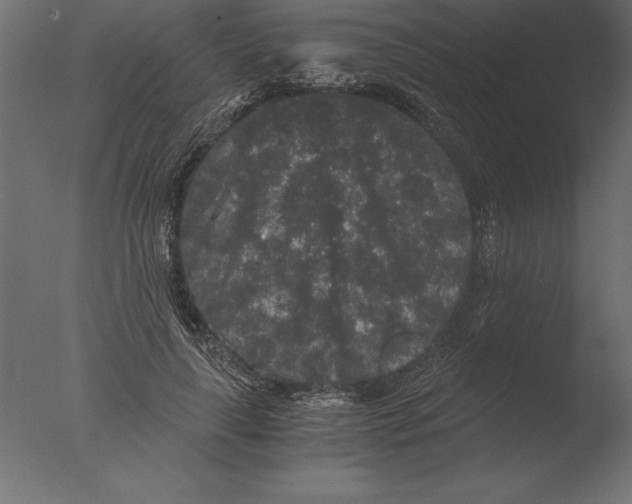 X0000076350643200610201801