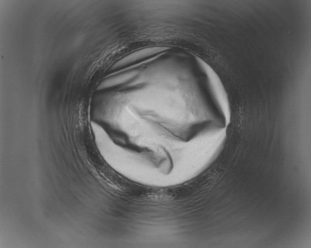 X0000076350644200610201801