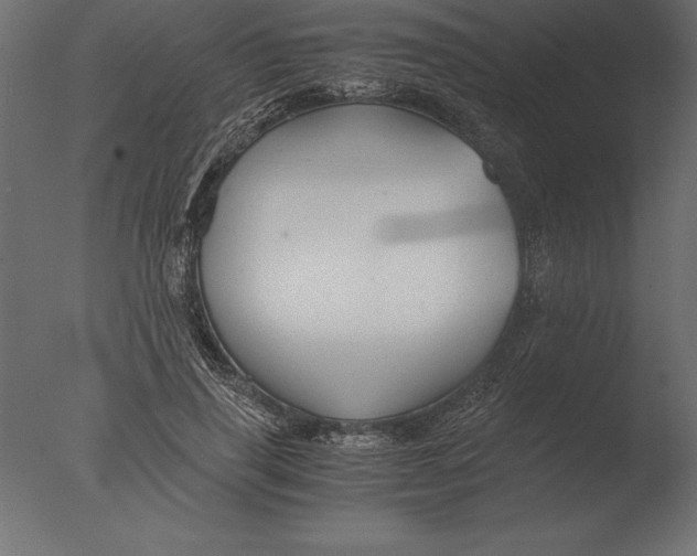 X0000076350645200610201801