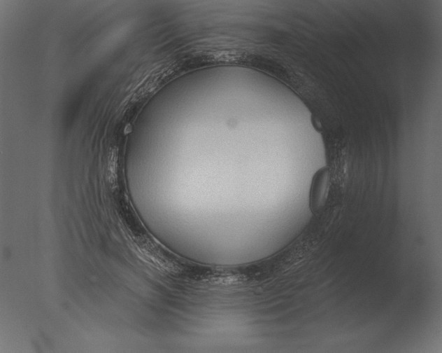 X0000076350646200610201801