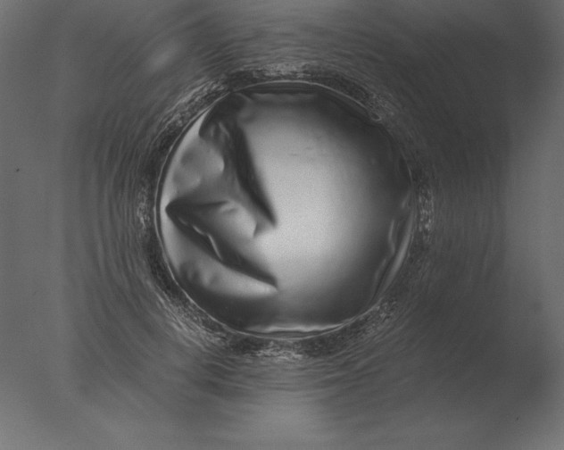 X0000076350648200610201801