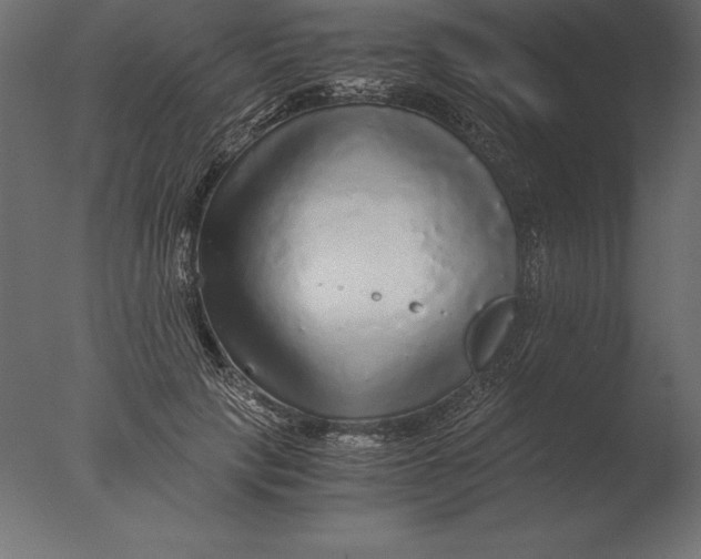 X0000076350649200610201801