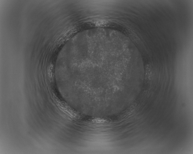 X0000076350650200610201801