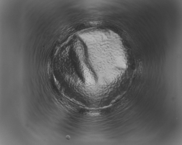 X0000076350651200610201801