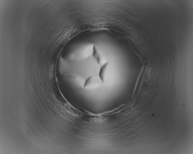 X0000076350652200610201801