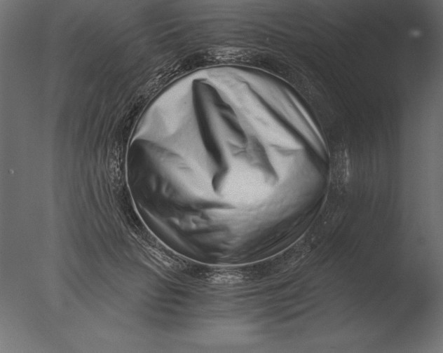 X0000076350653200610201801