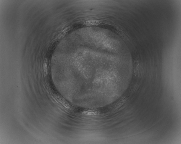 X0000076350655200610201801