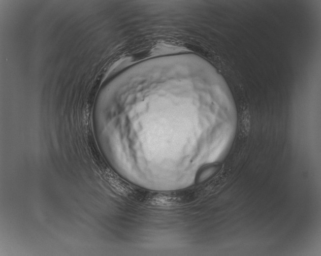 X0000076350657200610201801