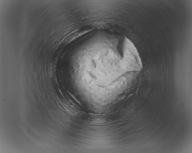 X0000076350658200610201801