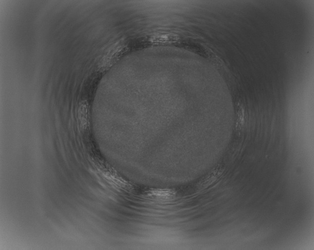 X0000076350659200610201801