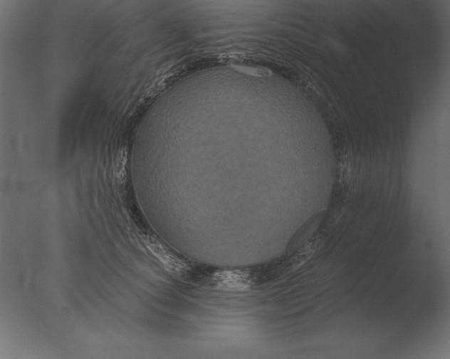 X0000076350660200610201801