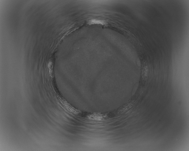 X0000076350661200610201801