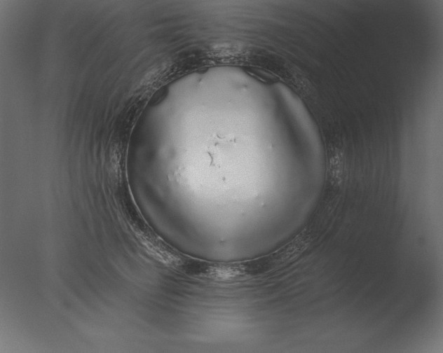 X0000076350662200610201801