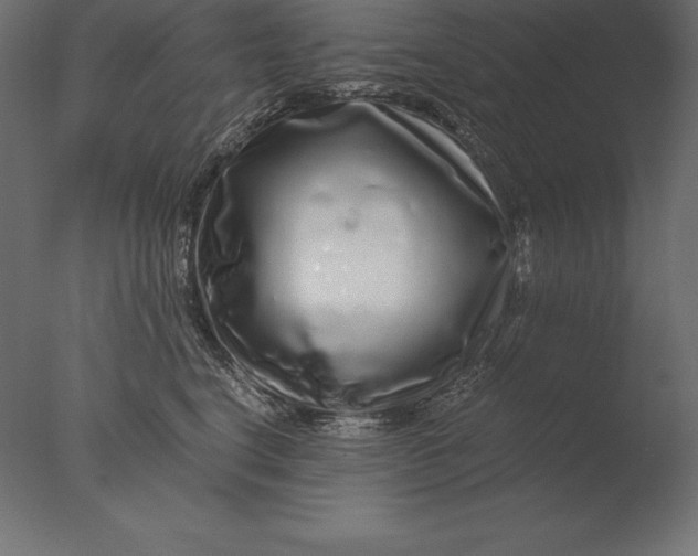 X0000076350664200610201801