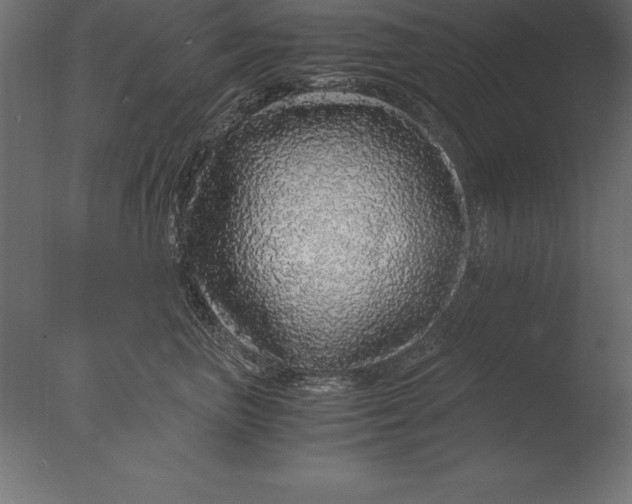 X0000076350667200610201802