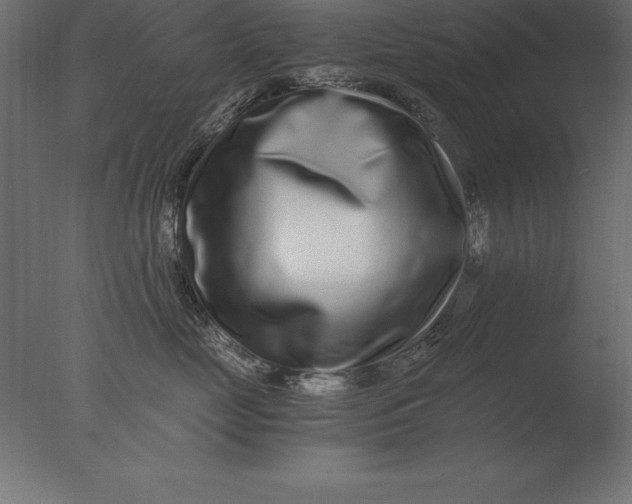 X0000076350669200610201802