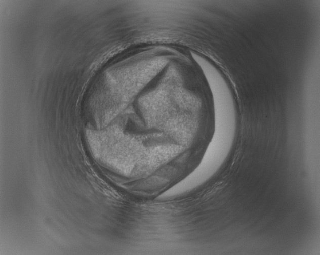 X0000076350673200610201801