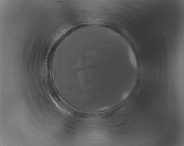 X0000076350674200610201801