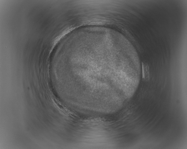 X0000076350675200610201801