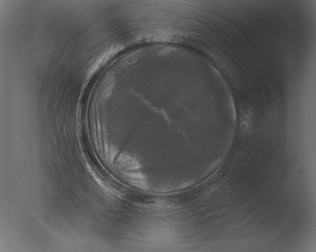 X0000076350678200610201801