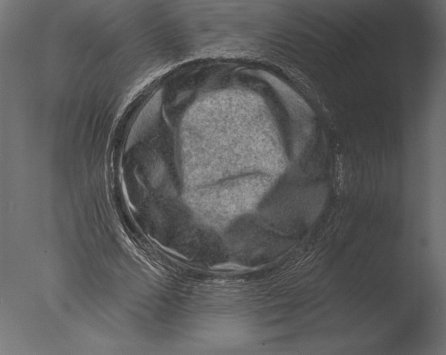 X0000076350680200610201801