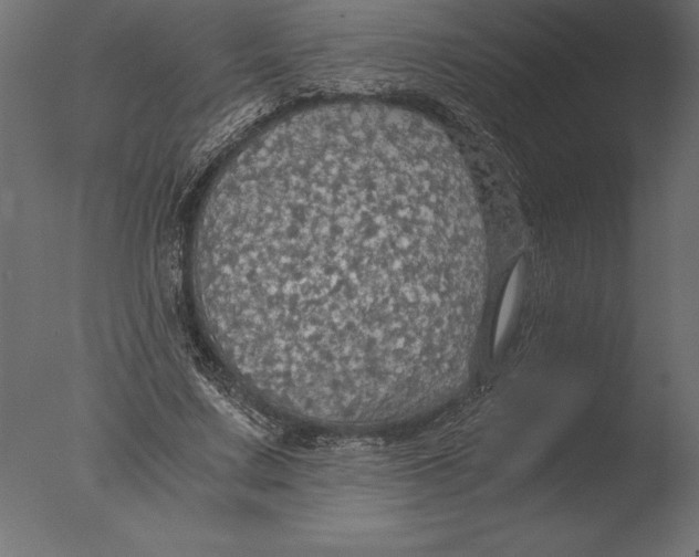 X0000076350683200610201801