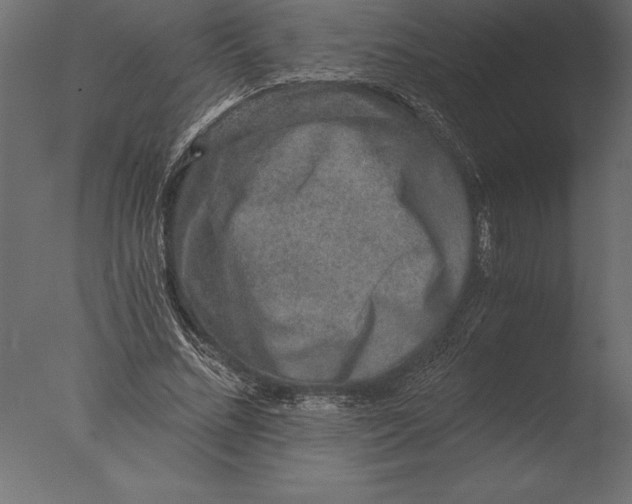 X0000076350684200610201801