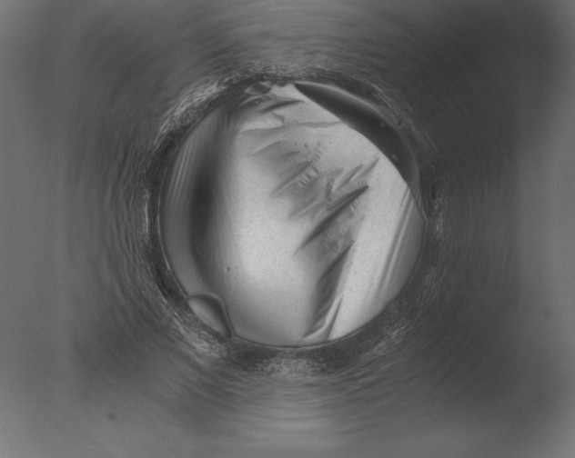 X0000076350685200610201801