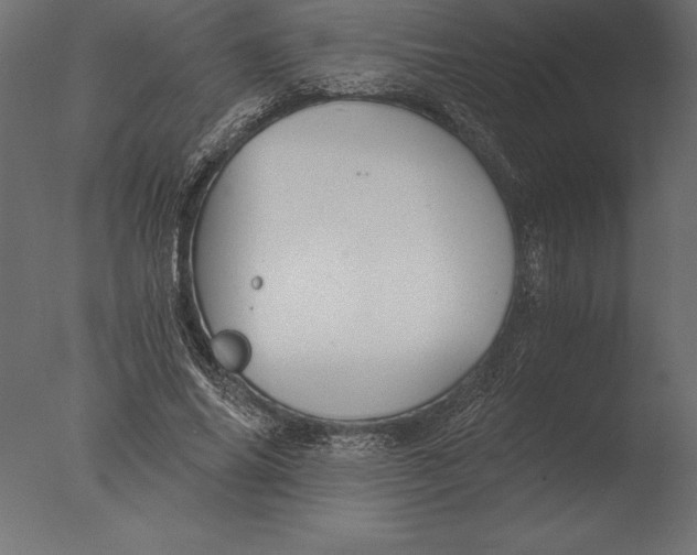 X0000076350686200610201801