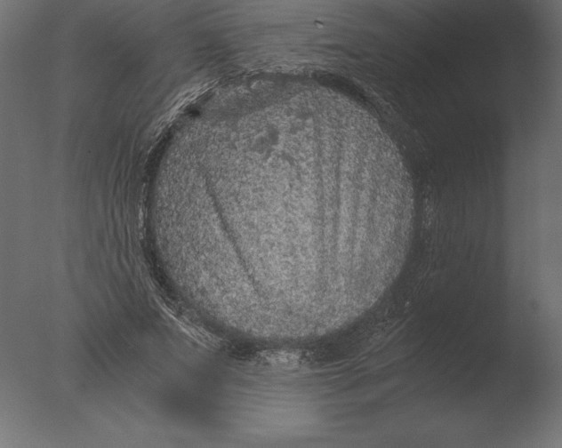 X0000076350687200610201801