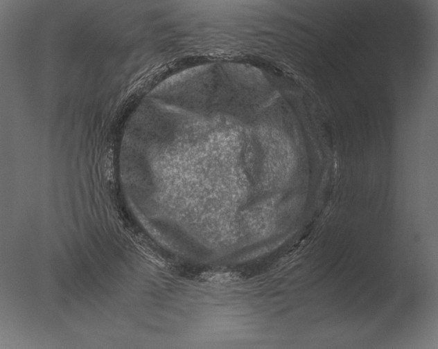 X0000076350689200610201801