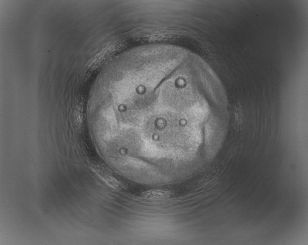 X0000076350691200610201800