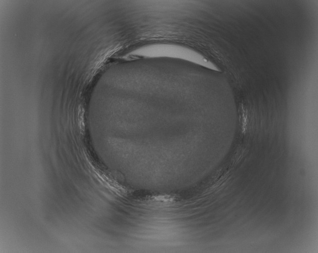 X0000076350692200610201800