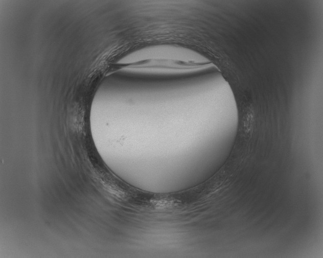 X0000076350693200610201800