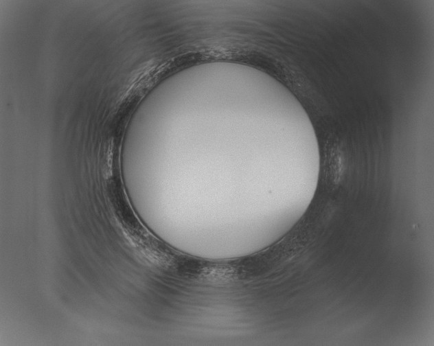 X0000076350694200610201800