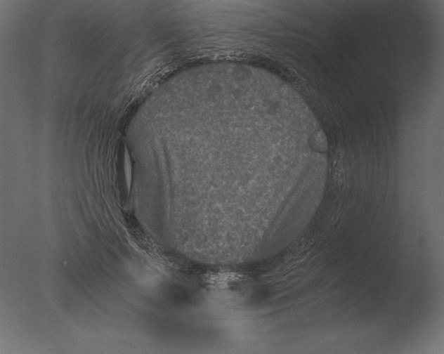 X0000076350695200610201800