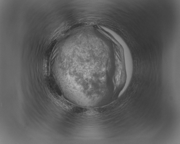 X0000076350696200610201800