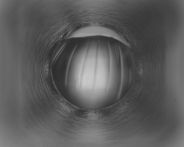 X0000076350697200610201800